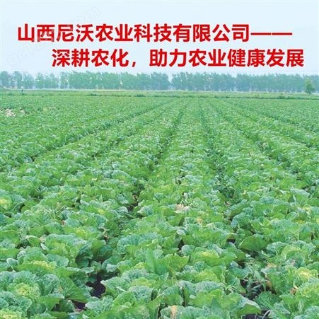 白菜种植用钙 全水溶氮钙复合肥 增加产量 预防干烧心