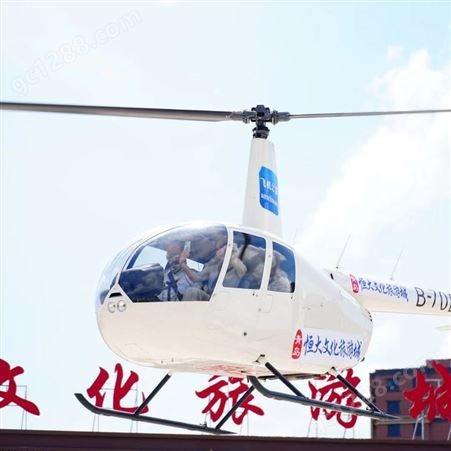 直升机看房 直升机空中看房 阳江直升机租赁 直升机看楼盘